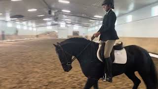 Dressage First Level Test 2 on Blain Revel Zarah [upl. by Reece]