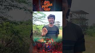 PUSHPA REVIEW  alluarjun sukumar  review trending  gangammathalli  rappa rappa [upl. by Choong]