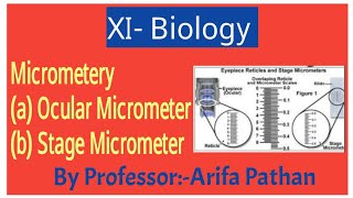 Micrometery  Types Of Micrometery Ocular and Stage Micrometer [upl. by Sturrock]