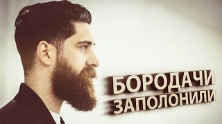 БОРОДАЧИ ПОВСЮДУ ИХ ВСЁ БОЛЬШЕ И БОЛЬШЕ [upl. by Livingstone]