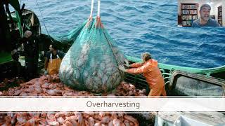 HSC EES Module 8 Overharvesting [upl. by Auerbach]