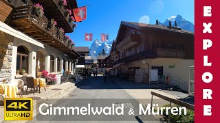 EXPLORE Gimmelwald amp Mürren alpine towns above Lauterbrunnen valley 🇨🇭 4K Walk [upl. by Chafee28]