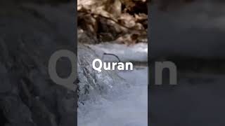 Quran para 19 urdu translation [upl. by Aitram442]