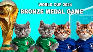 LETS UNLEASH CATS KITTENS WORLD CUP GAME 7 BRONZE MEDAL MATCH [upl. by Mandler264]