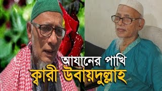 Emotional Beautiful Azan Qari Ubaydullah BD  আযানের পাখি ক্বারী উবায়দুল্লাহ [upl. by Yellas]