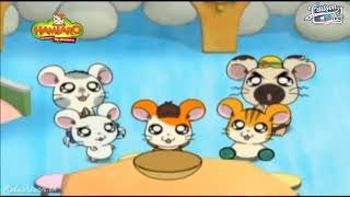 HAMTARO  Episode 01  DETEKTIF HAMTARO [upl. by Boggers]