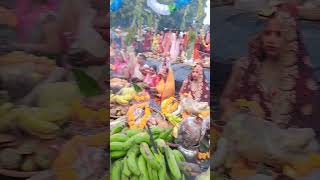 Armani ke din chal aiha chhathpuja ke song aashishyadav ka song [upl. by Baiss]