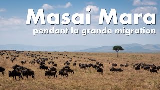 Le Masaï Mara pendant la grande migration [upl. by Marsha543]