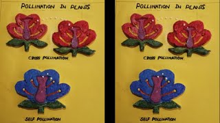 Types of pollination in plants  Pollination in plants model  Science exhibition model project [upl. by Suanne]