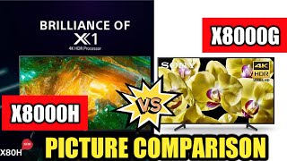 Sony X8000H vs X8000G  Picture Comparison [upl. by Truk]