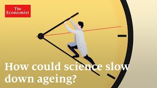 Longevity can ageing be reversed [upl. by Yeznil]