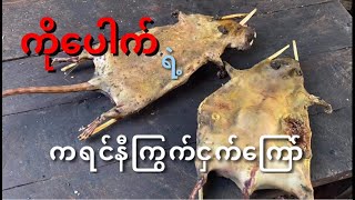 ကရင်နီကြွက်ငှက်ကြော် [upl. by Noelopan825]