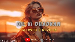 Dil Ki Dhadkan Slowed  Reverb  Mind Fresh Lofi Song Mind Relax Lofi Mashup  Anu Deep Tirkey [upl. by Aisetal]