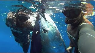 Bluefin Tuna World Record on Spear Part 1 [upl. by Arrac]