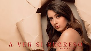 A Ver Si Regreso  Angelica Gallegos Video Lyric [upl. by Marabelle]