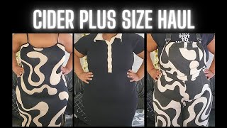 Cider Plus Size Mini Haul [upl. by Ronnholm475]