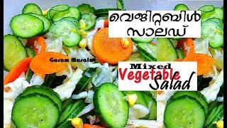 Healthy Mixed Vegetable Salad വെജിറ്റബിൾ സാലഡ് [upl. by Lesly]