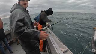 Alaska Halibut Fishing Off The Kenai Peninsula In Ninilchik [upl. by Riek]