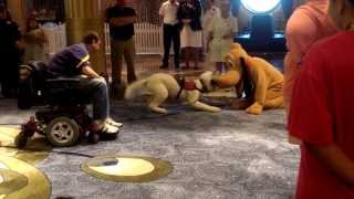 A Service Dog Meets Pluto aboard the Disney Fantasy [upl. by Athiste]