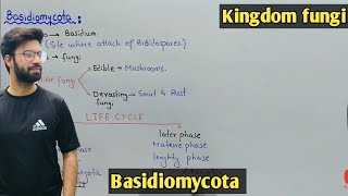 Basidiomycota Fung Life Cycle  Characteristics  Class 11 Biology [upl. by Anenahs742]