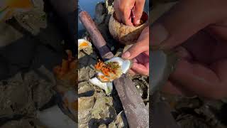 fishinglife oysterlover seafood usa oyster fish 100kviews oysters oysterperpetual fishing [upl. by Randall]