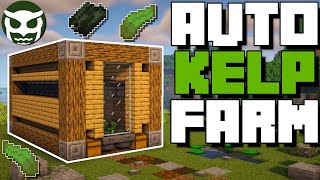 Minecraft Automatic Kelp Farm  NO ZERO TICK 117  Easy Tutorial [upl. by Eux]