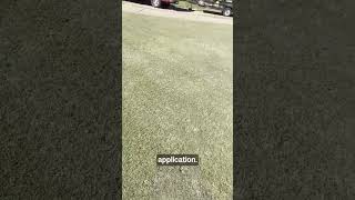 Steves Fall Fertilization and Overseeding Part 9🌱 [upl. by Adamina415]