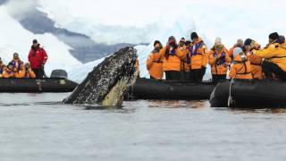 Wilhemina Bay Antarctic Peninsula [upl. by Aseeram]