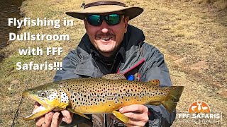 Flyfishing for Trout in Dullstroom Location X fffsafaris tforods browntrout rainbowtrout [upl. by Hach]