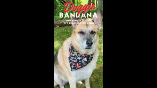 One Minute Sewing Dog Bandana Tutorial for Beginners [upl. by Nimzzaj207]