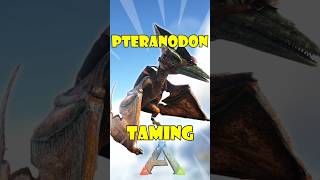 Ark Pteranodon Taming [upl. by Gyimah]