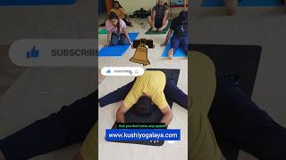 2 Best Yoga Poses for Men and Women Butterfly and Upavista Konasana [upl. by Standish542]