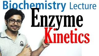 Enzyme kinetics vmax and km [upl. by Aihsekram]