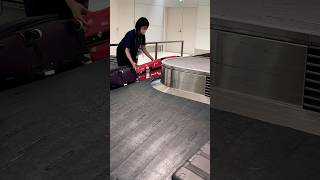 Japan Narita airport baggage 🧳 handling shorts [upl. by Turino]