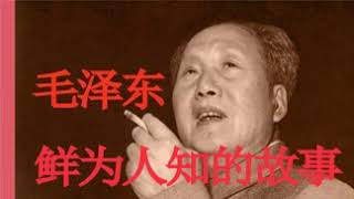 《毛泽东：鲜为人知的故事》53 树不起来的“毛主义” [upl. by Llerej]