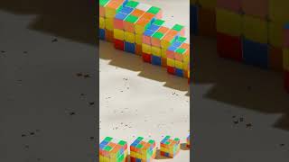 Rolling Rubiks Cubes [upl. by Leahcir]