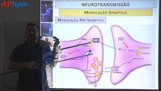 Modulação da transmissão sináptica e memória [upl. by Lorraine]