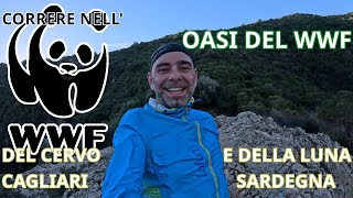 Correre nellOASI del WWF non ha prezzo [upl. by Einneg195]