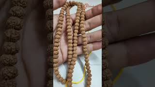 PREMIUM JAVA RUDRAKSHA MALA  9987835118 [upl. by Chadbourne]