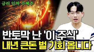 반토막 난 이 주식 내년에 큰돈 벌 기회 옵니다 2024년 주도주 될거에요 24년 주식 저평가 주식 [upl. by Harriet]