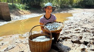 Tempo de seca fizemos a limpeza ecológica do açude e garantimos peixes para muitos dias [upl. by Tare749]