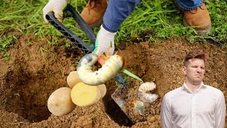 Se débarrasser des vers blancs dans sa pelouse avec une pomme de terre [upl. by Aihsa28]