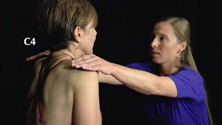 Neck Examination Cervical Spine Screen [upl. by Hutner281]