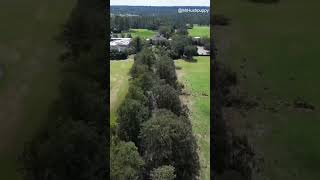 Drone video shows damage to Magnolia Lane at Augusta National after Hurricane Helene [upl. by Myrle]