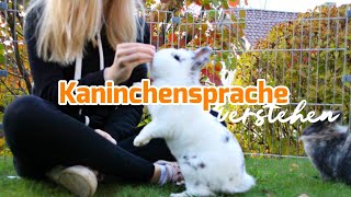 Kaninchensprache verstehen  Teil 1 [upl. by Zizaludba]