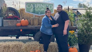 Carpinito Brothers Farm Pumpkin Patch Kent WA 10221 [upl. by Walley]