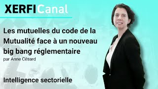 Les mutuelles du code de la Mutualité face à un nouveau big bang réglementaire Anne Césard [upl. by Isahella660]