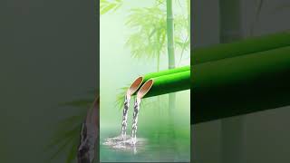 Relaxing Music Nature Sounds 42 relaxing meditationmusic relax watersounds bamboo sleepmusic [upl. by Eiral]