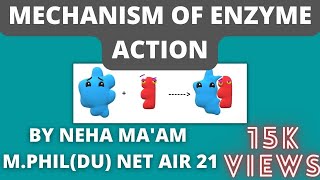 Mechanism of enzyme action In Hindi  CSIR NET Life Sciences  Biochemistry [upl. by Nuriel]