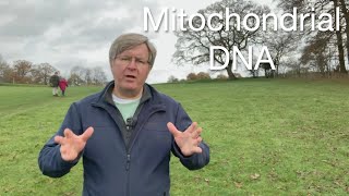 Understanding Mitochondrial DNA Structure Function and Disease [upl. by Aiekan]